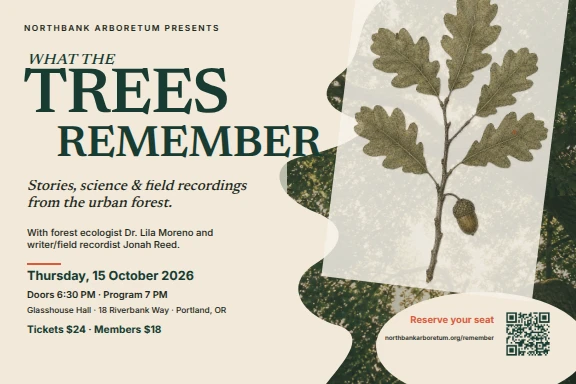 What the Trees Remember