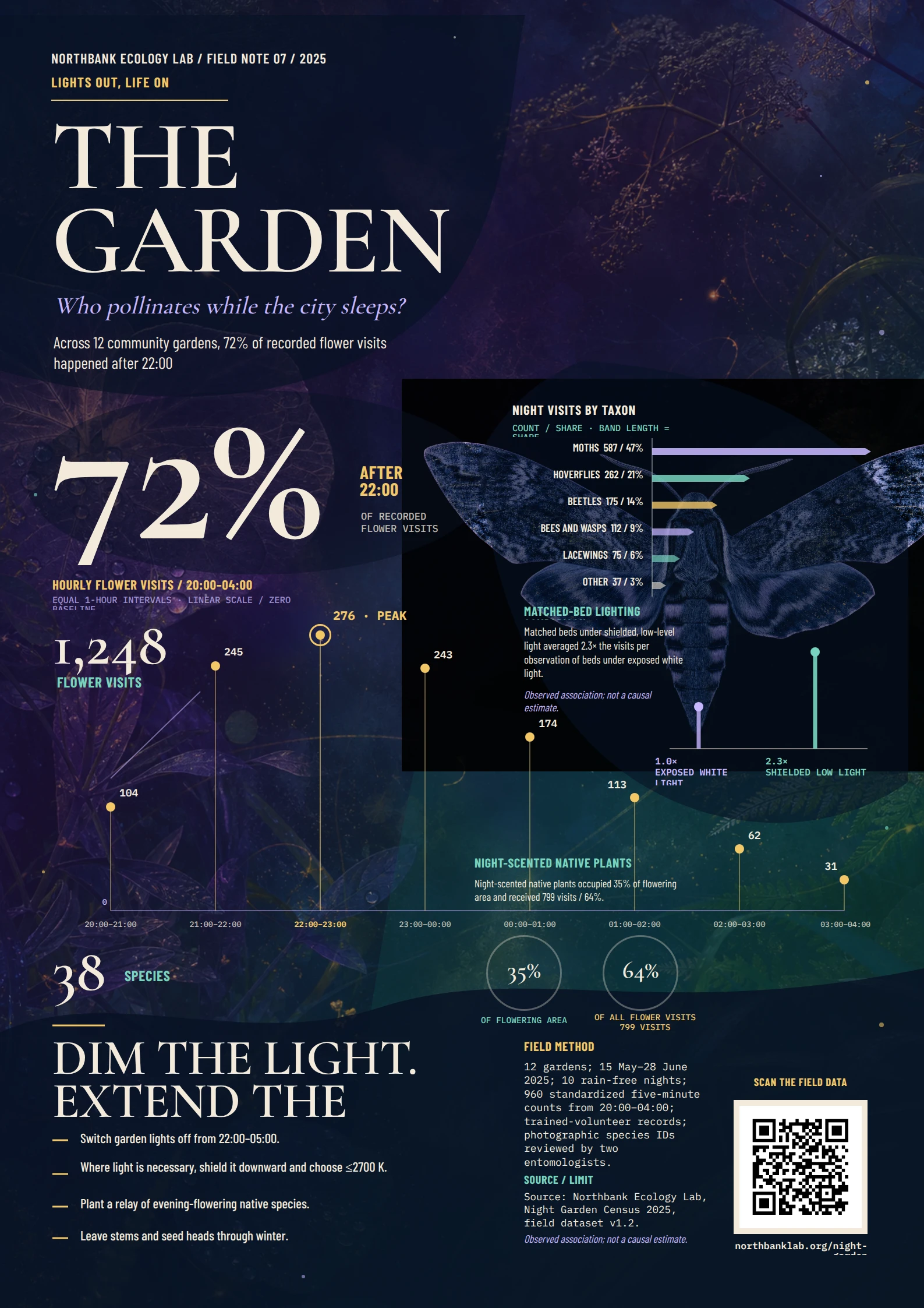 The Garden After Dark