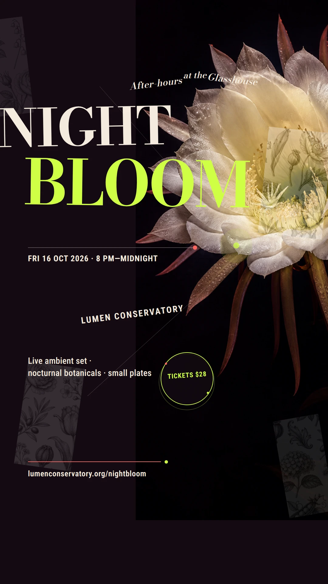 Night Bloom After-Hours