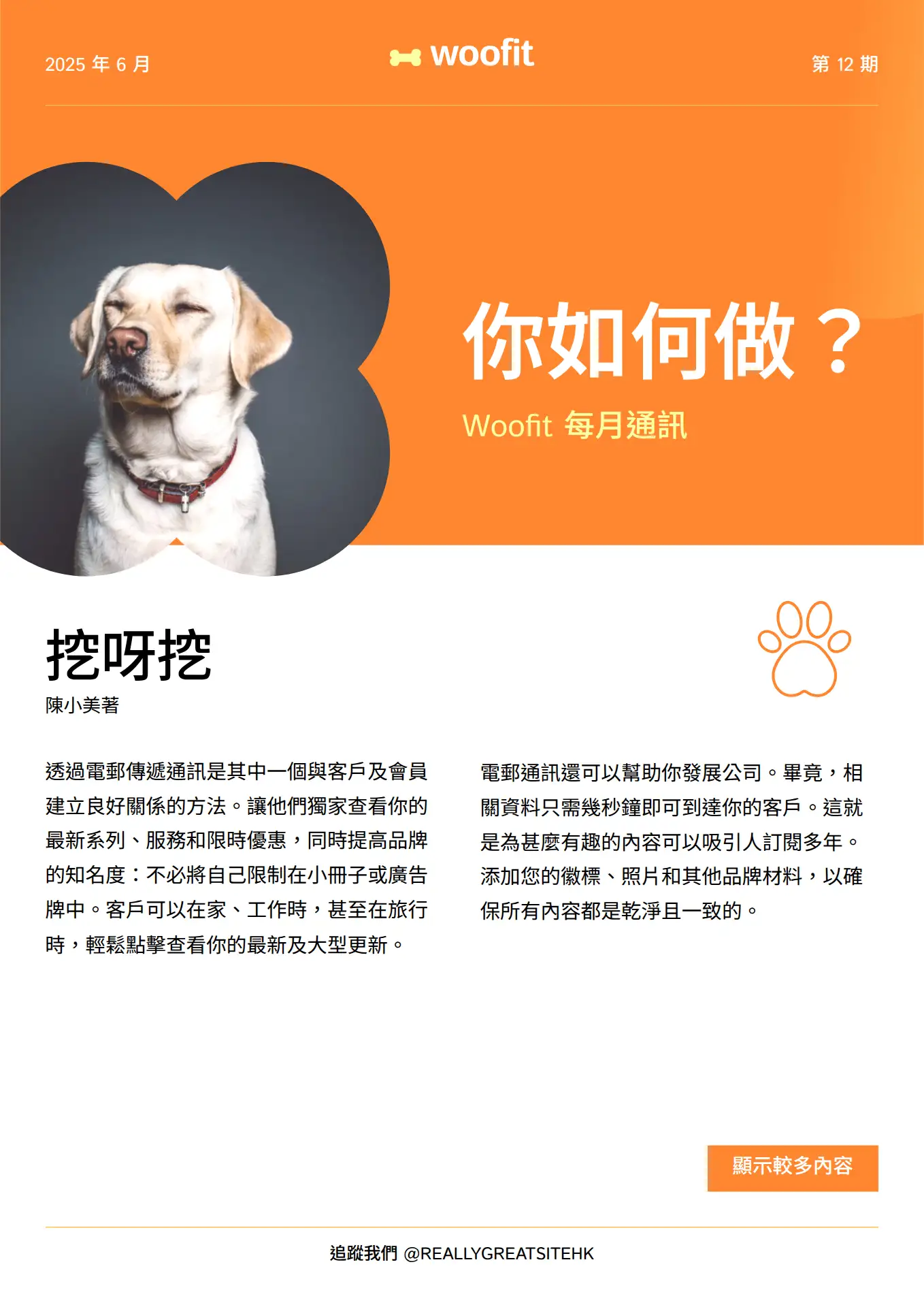 Warm Gradient Editorial Newsletter