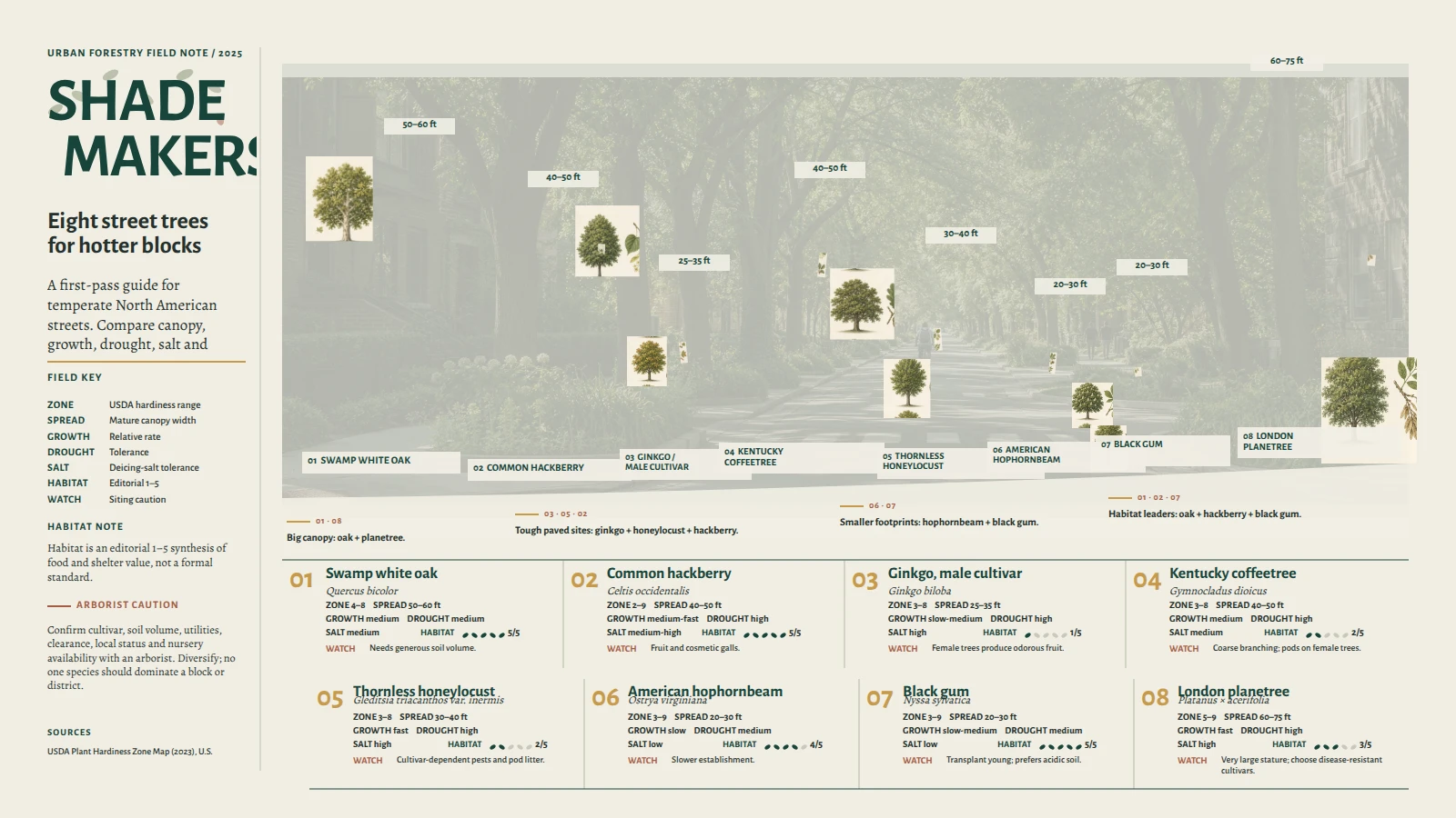 Shade Makers: A Street-Tree Field Guide