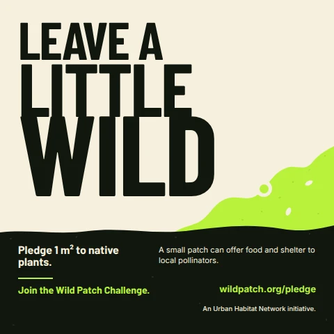 Leave a Little Wild