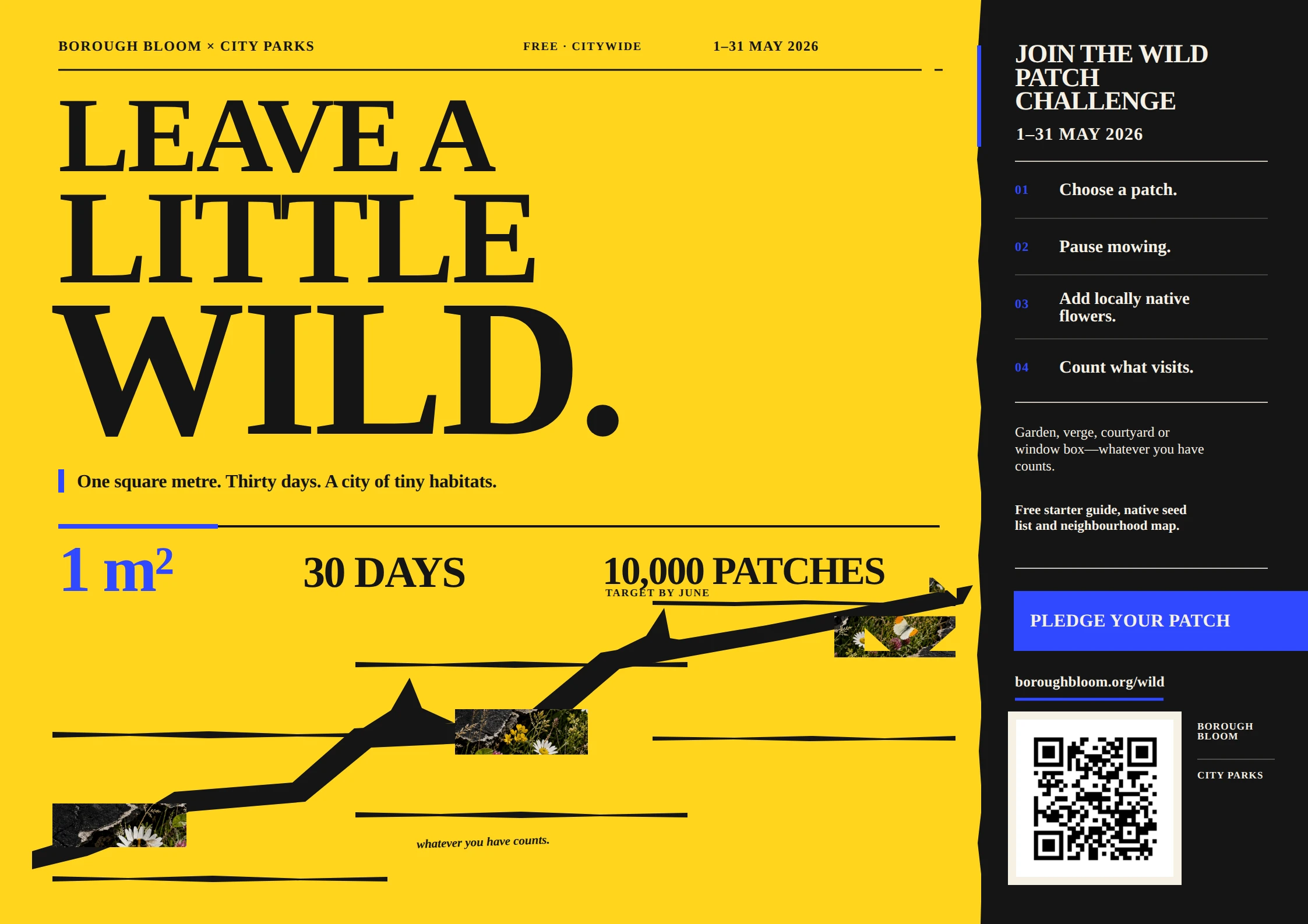 Leave a Little Wild