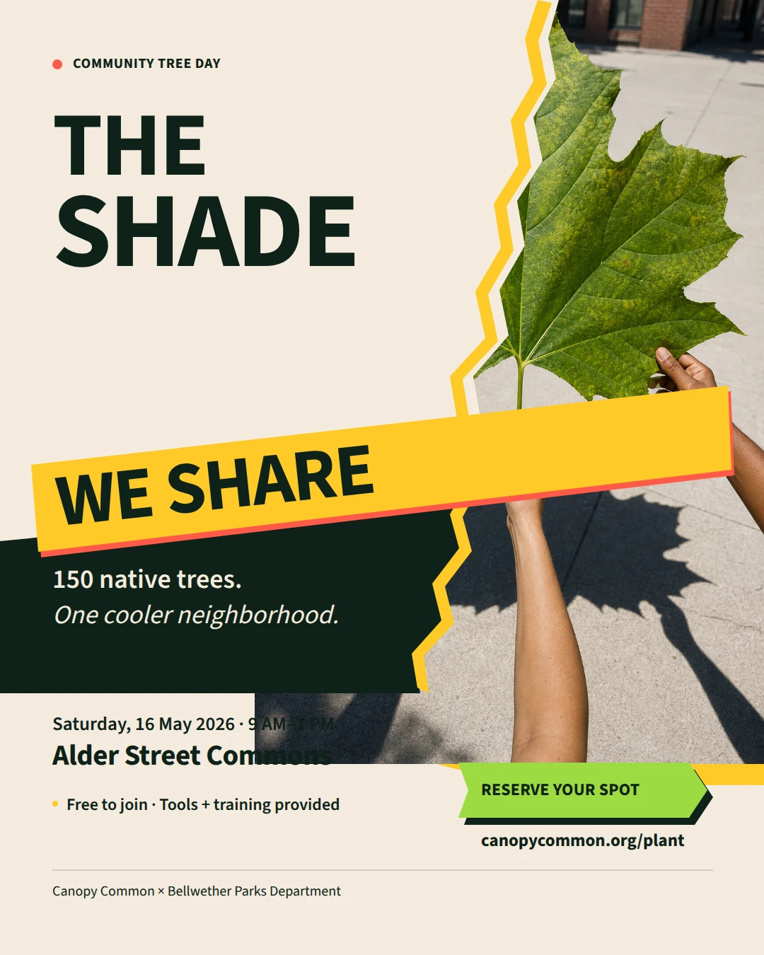 The Shade We Share