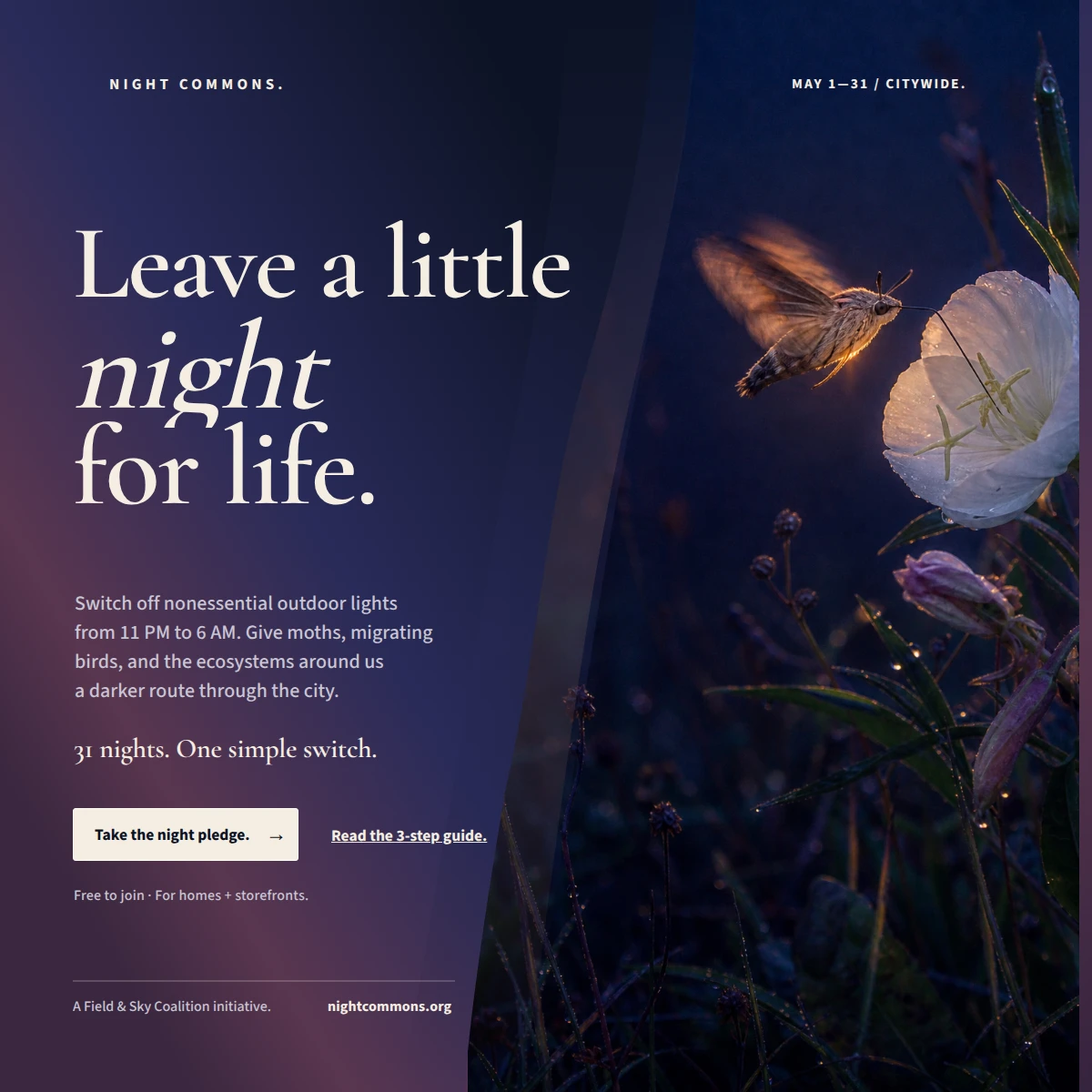 Night Commons Campaign