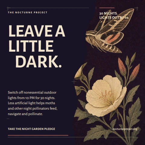 Leave a Little Dark