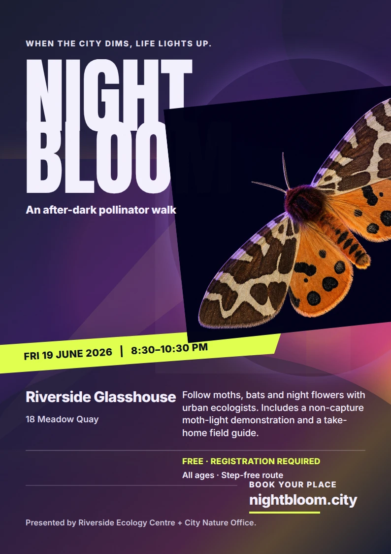 Night Bloom — After-Dark Pollinator Walk
