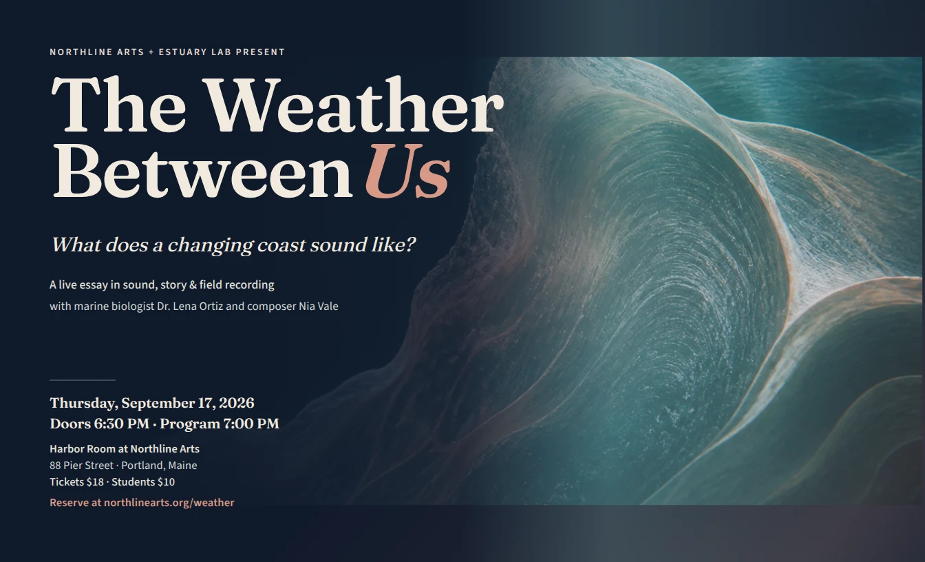 The Weather Between Us