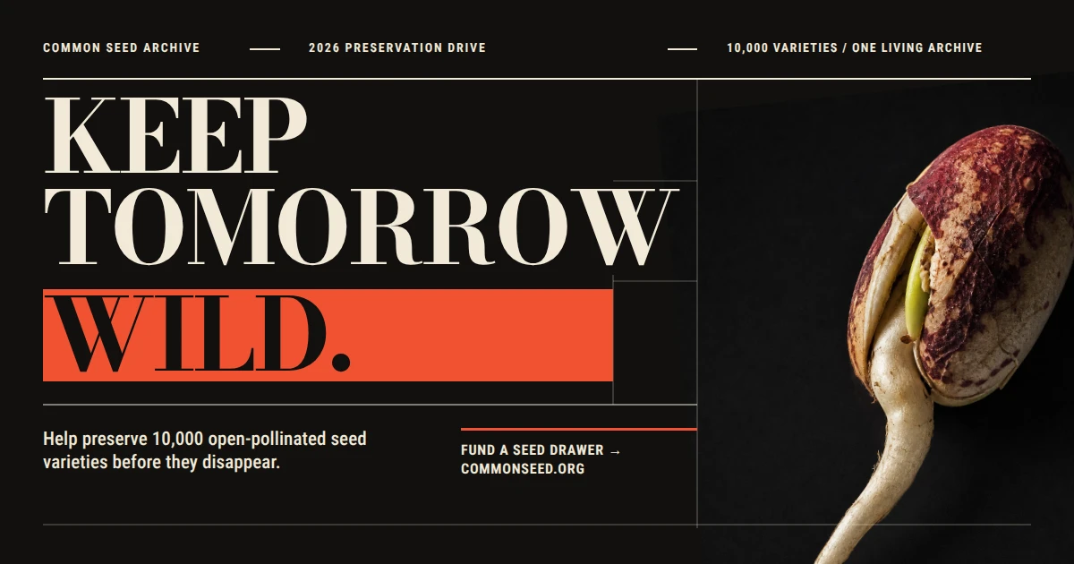 Keep Tomorrow Wild